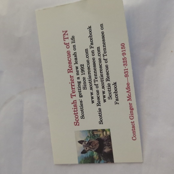 Westie or Scottie Puppies porcelain jar. - Picture 8 of 8